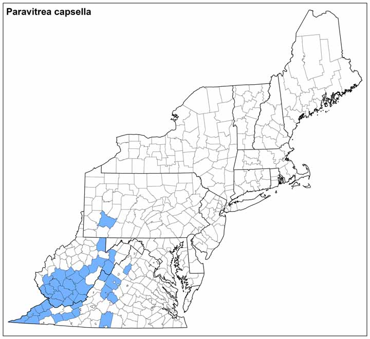 Paravitrea capsella Range Map